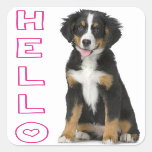 Hello Bernese Mountain Puppy Dog Sticker / Seal