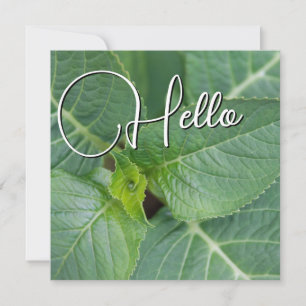 Hello birth welcome greeting green card