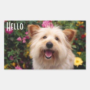 Hello Cairn Terrier Puppy Dog Greeting Stickers