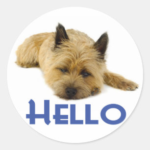 Hello Cairn Terrier Puppy Dog Greeting Stickers