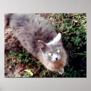 Hello Can You Hear Me Poster