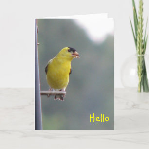 Hello Card
