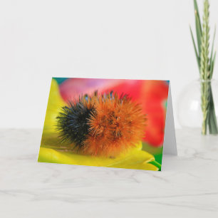 Hello Card