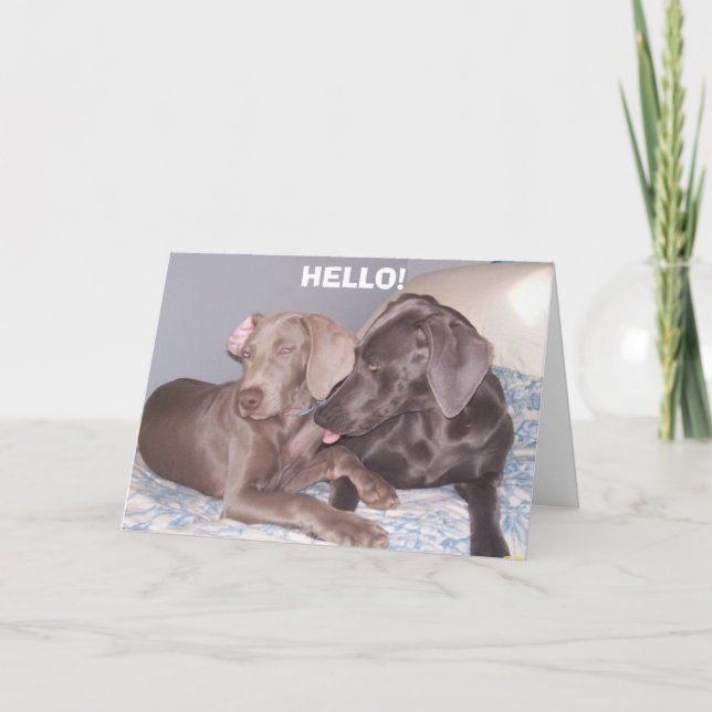 HELLO! CARD (Front)