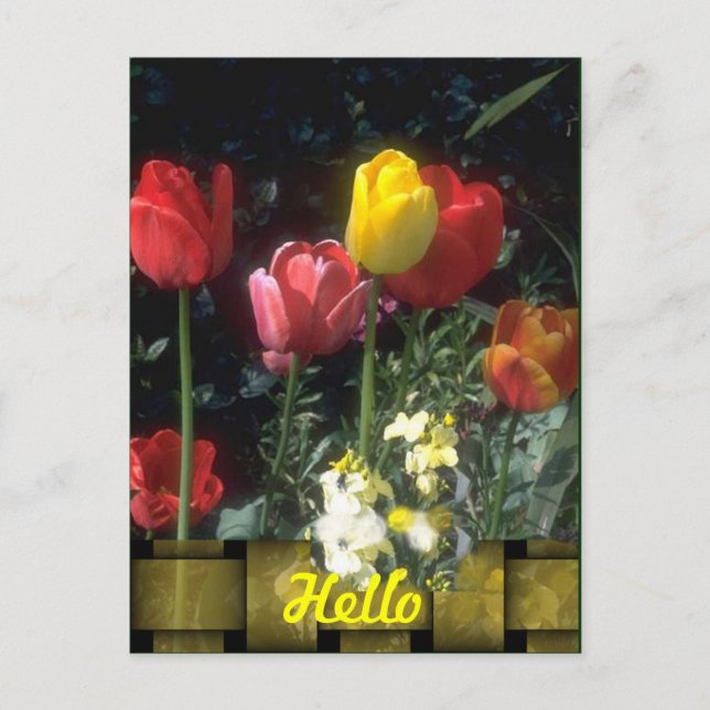 Hello Cards (Front)