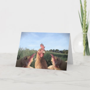 HELLO  CHIC-KEN HOLIDAY CARD