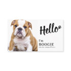 Hello Custom Photo Social Media Pet Influencer
