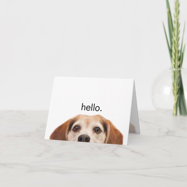 Hello Cute Funny Beagle Dog Modern Trendy Blank Card (Front)