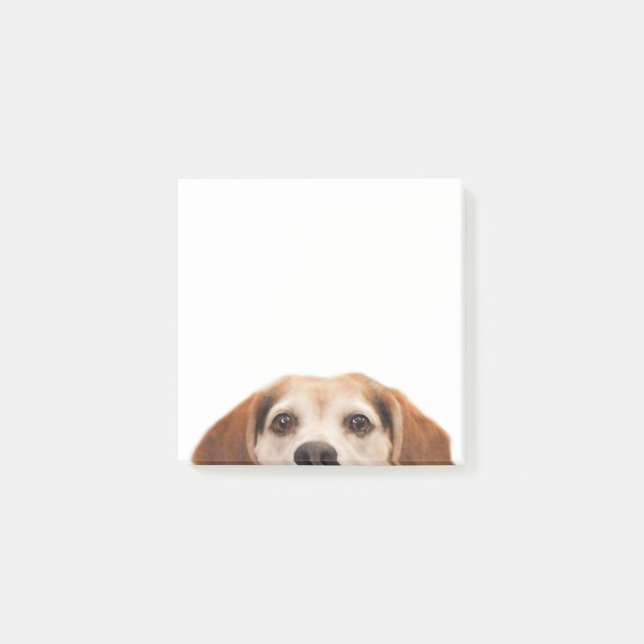 Hello Cute Funny Beagle Dog Modern Trendy Post-it Notes (Front)