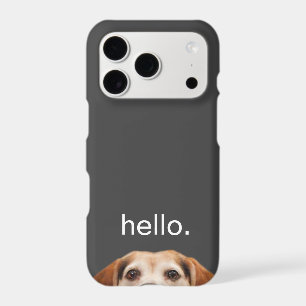 Hello Cute Funny Smiling Beagle Dog Modern Grey