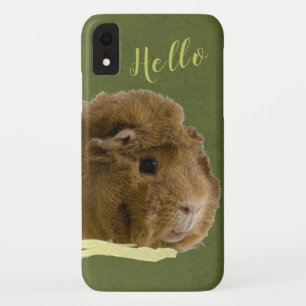 HELLO Cute Guinea Pig With Celery Photograph iPhone XR Case