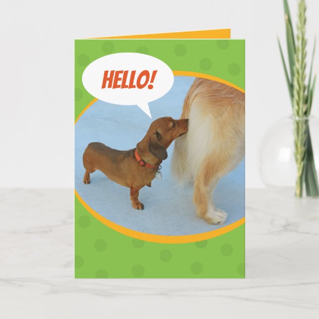 Hello - Dachshund Sniffing Golden Retriever Butt Card (Front)