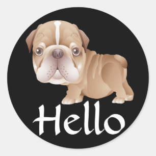 Hello English Bulldog Puppy Dog Black Classic Round Sticker