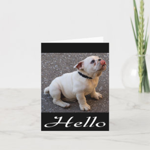 Hello English Bulldog Puppy Dog Blank Note Card