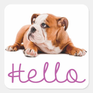 Hello English Bulldog Puppy Dog ticker / Seal