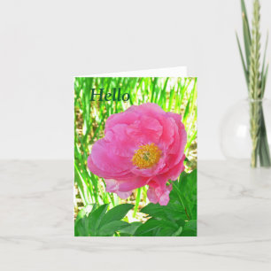 "HELLO"  FLORAL/PINK PEONY/NOTECARD /BLANK INSIDE CARD
