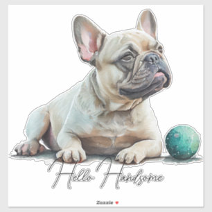 Hello French Bulldog
