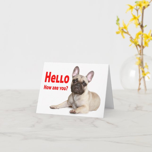 Hello French Bulldog Dog Thinking of You Love  Card (Yellow Flower)