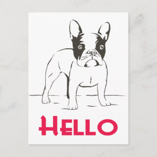 Hello French Bulldog Puppy Dog Post Card