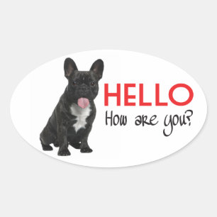 Hello French Bulldog Puppy Dog Sticker / Seals