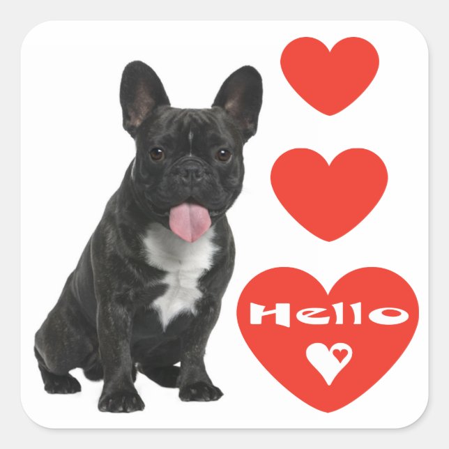 Hello French Bulldog Puppy Dog Sticker / Seals (Front)
