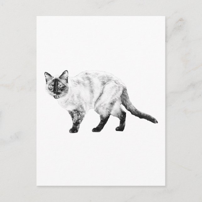 Hello Friend, Cat Art Post Postcard (Front)