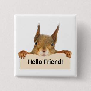 Hello Friend Funny Squirrel  2 Inch Square Button