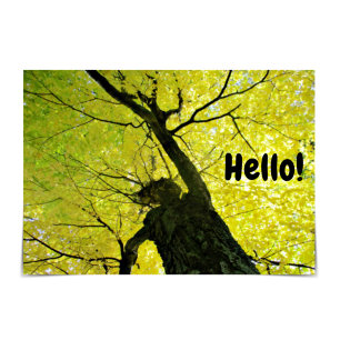 "Hello!" Friendly Tree Card