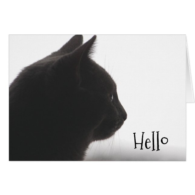 Hello From A Kitty Cat (Front Horizontal)
