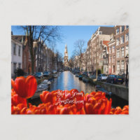 Hello from Amsterdam Spring Red Tulips