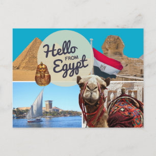 Hello From Egypt Postcard