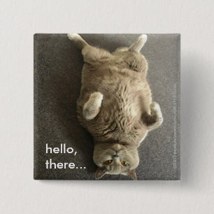 hello from Fiona the Big Blue Cat 2 Inch Square Button