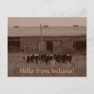 Hello from Indiana! Postcard