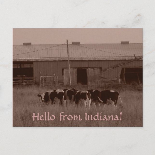 Hello from Indiana! Postcard (Front)