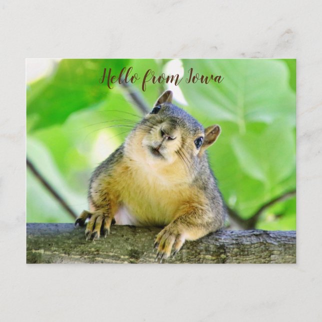 Hello from Iowa Postcard (Front)