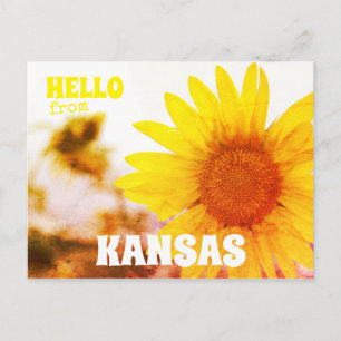 Hello from Kansas Sunflower Postcard