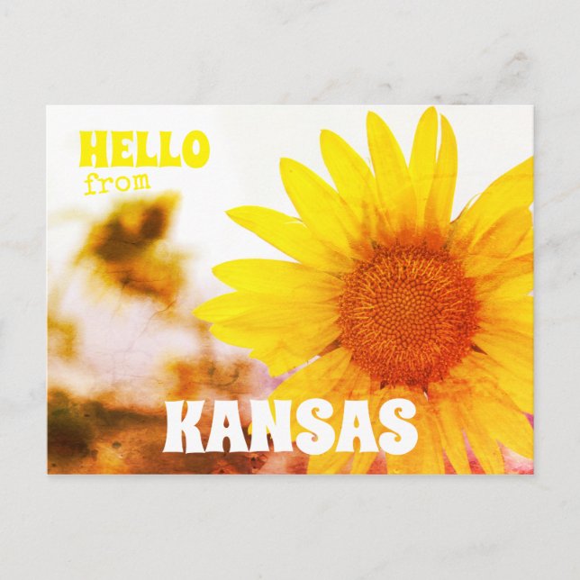 Hello from Kansas Sunflower Postcard (Front)
