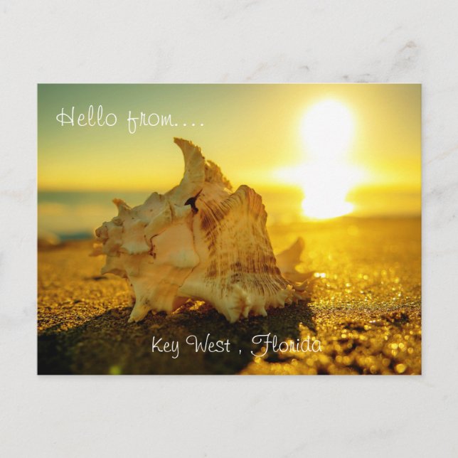 Hello from... Key West , Florida Postcard (Front)