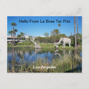 Hello From La Brea Tar Pits Postcard