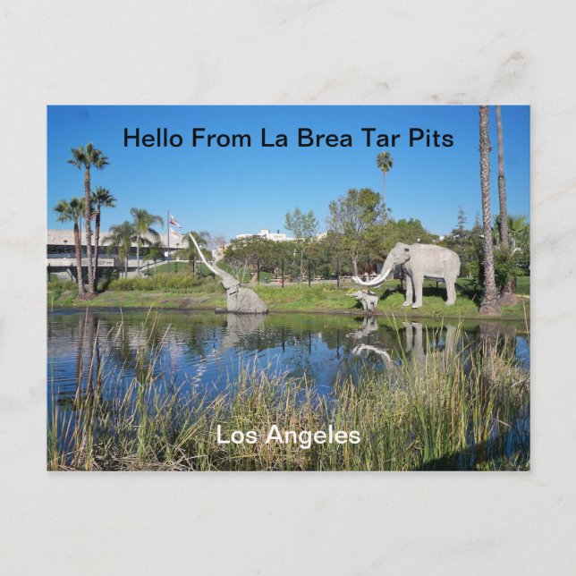 Hello From La Brea Tar Pits  Postcard (Front)