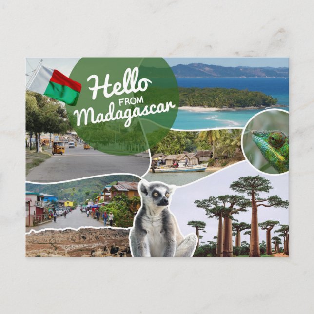 Hello from Madagascar Postcard (Front)