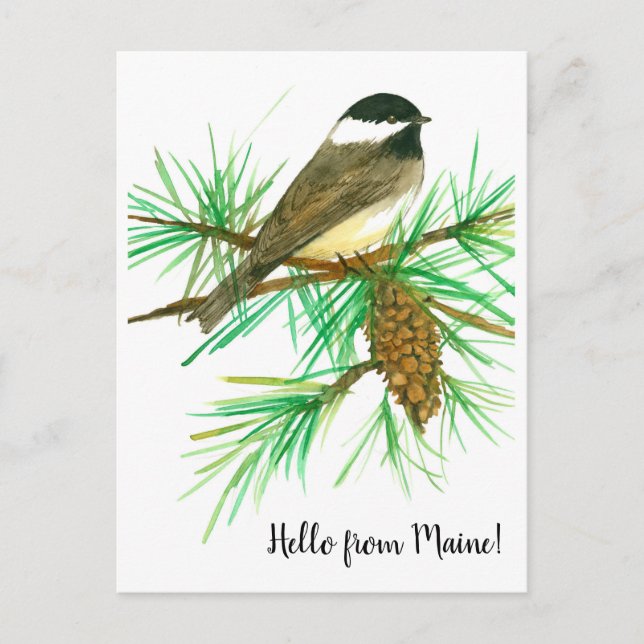 Hello from Maine Black Capped Chickadee Bird Postcard (Front)