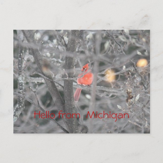 Hello from Michigan Postcard (Front)