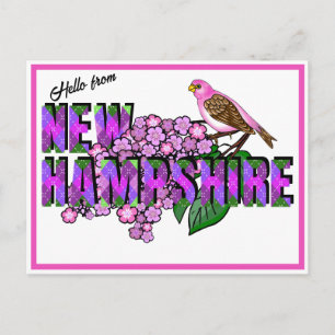 Hello from New Hampshire Purple Finch & Lilacs Postcard