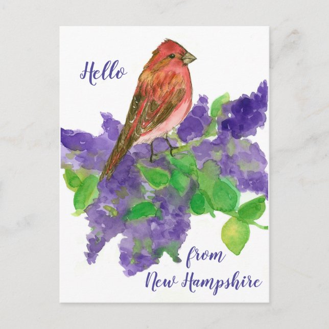 Hello from New Hampshire Purple Finch Postcard (Front)