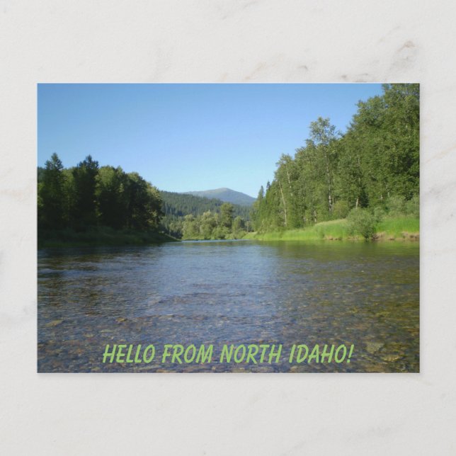 Hello from North Idaho! Postcard (Front)
