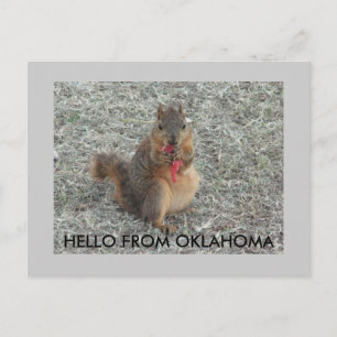 HELLO FROM OKLAHOMA POSTCARD