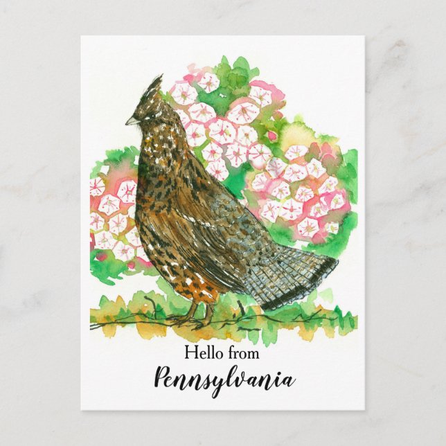 Hello from Pennsylvania Ruffed Grouse Bird Postcard (Front)