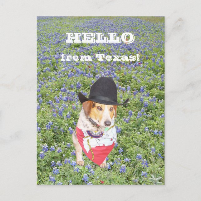 Hello from Texas! Postcard (Front)