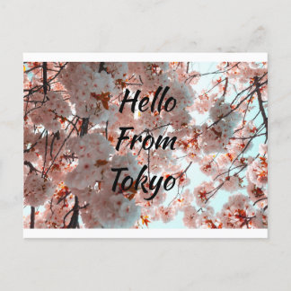 Hello From Tokyo beautiful Sakura flower Postcard